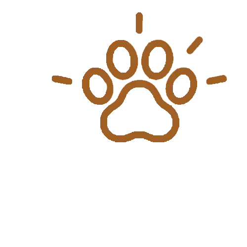 reiki soutien physique