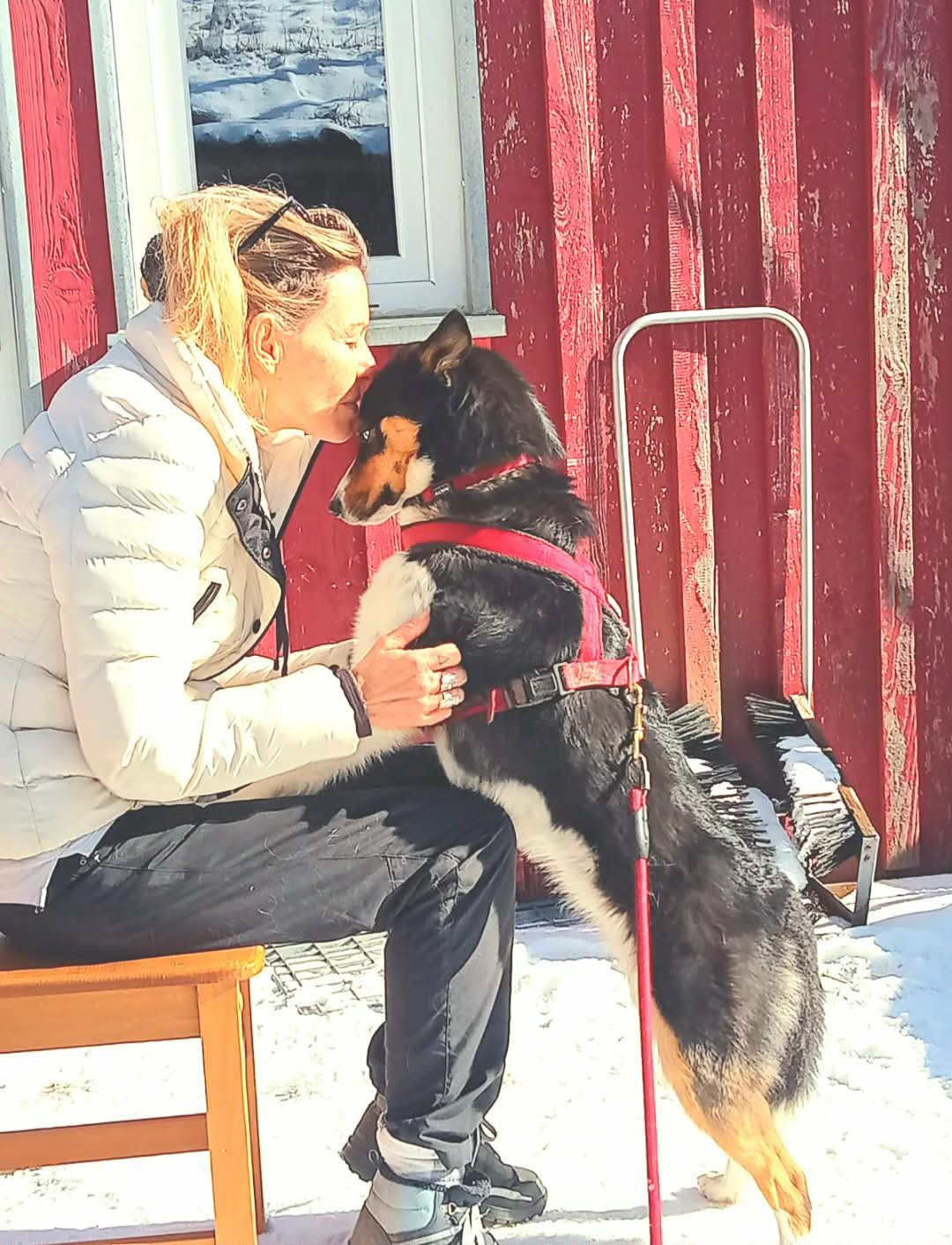 Gaëlle Maigne Praticienne Reiki Animalier